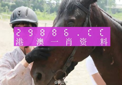 澳门最准一肖一码一码公开-全面探讨落实与释义全方位