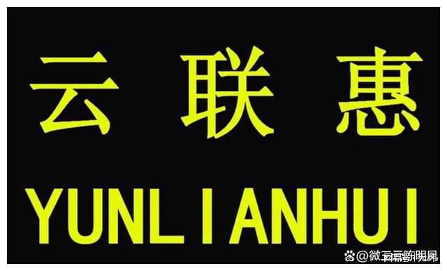 一码一肖100准正版资料-全面探讨落实与释义全方位